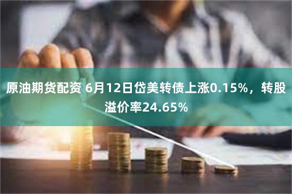 原油期货配资 6月12日岱美转债上涨0.15%，转股溢价率24.65%