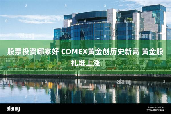 股票投资哪家好 COMEX黄金创历史新高 黄金股扎堆上涨