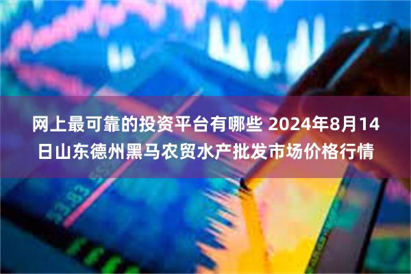 网上最可靠的投资平台有哪些 2024年8月14日山东德州黑马农贸水产批发市场价格行情