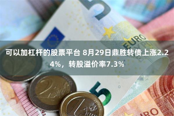 可以加杠杆的股票平台 8月29日鼎胜转债上涨2.24%，转股溢价率7.3%