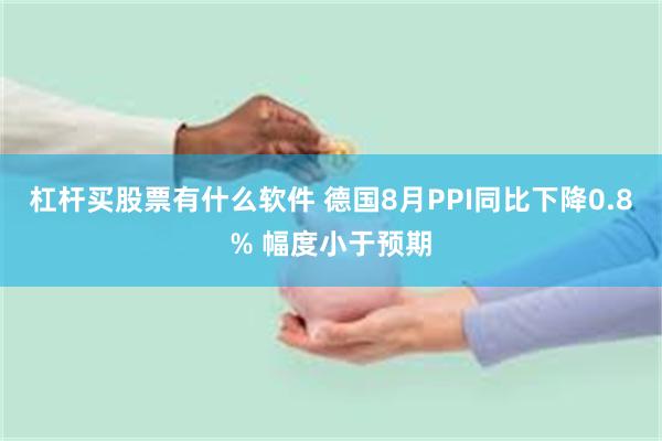 杠杆买股票有什么软件 德国8月PPI同比下降0.8% 幅度小于预期