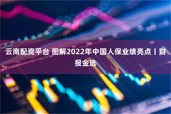 云南配资平台 图解2022年中国人保业绩亮点丨财报金选