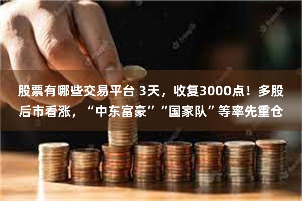 股票有哪些交易平台 3天，收复3000点！多股后市看涨，“中东富豪”“国家队”等率先重仓