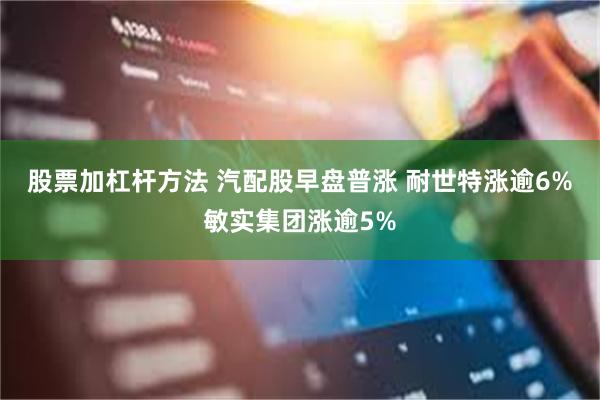 股票加杠杆方法 汽配股早盘普涨 耐世特涨逾6%敏实集团涨逾5%