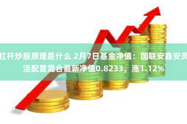 杠杆炒股原理是什么 2月7日基金净值：国联安鑫安灵活配置混合最新净值0.8233，涨1.12%