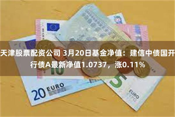 天津股票配资公司 3月20日基金净值：建信中债国开行债A最新净值1.0737，涨0.11%